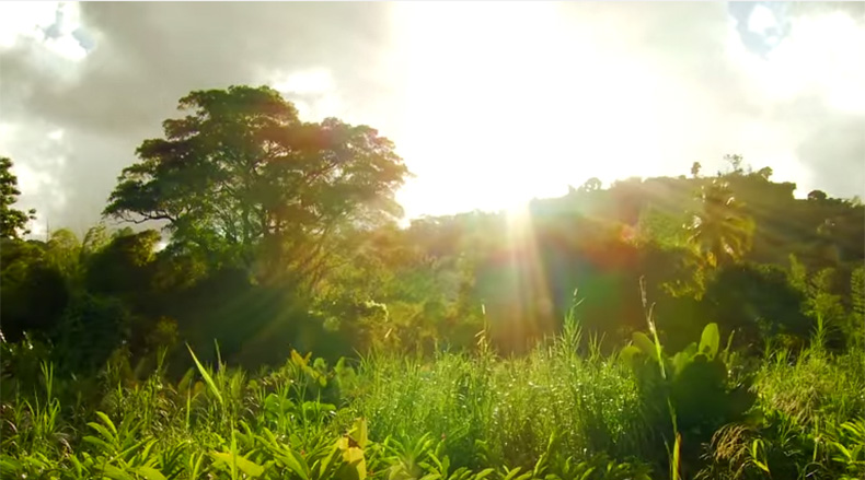 10 vidéos qui montrent l'impact du climat sur la pauvreté